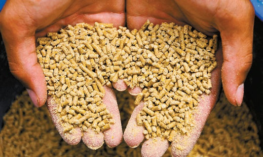 Feasibility study on animal feed manufacturing