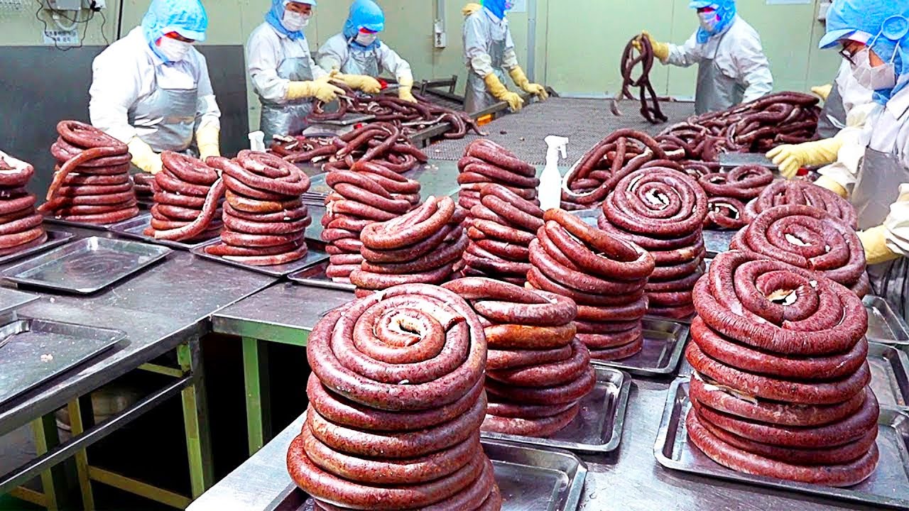 Feasibility study for a meat processing project