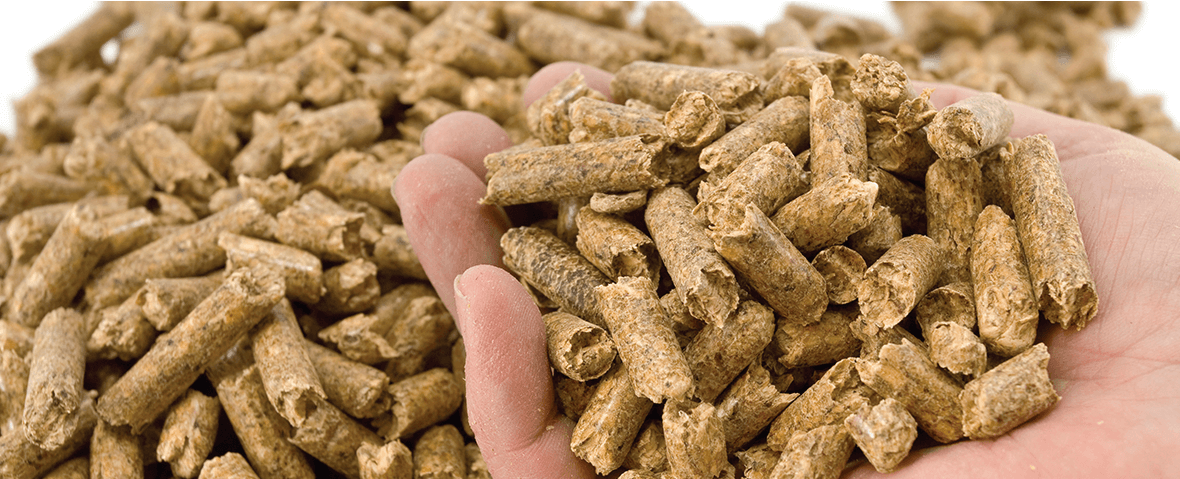 Feasibility study on animal feed manufacturing
