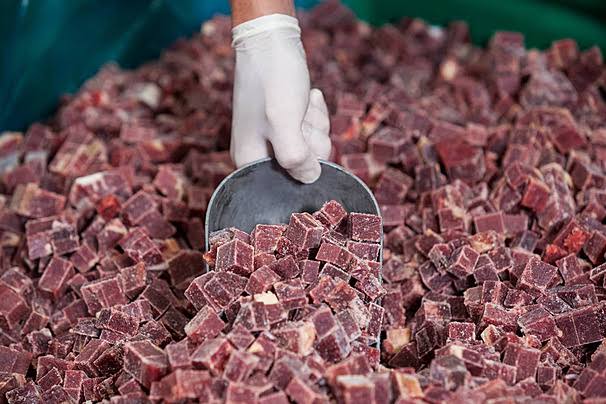 Feasibility study for a meat processing project