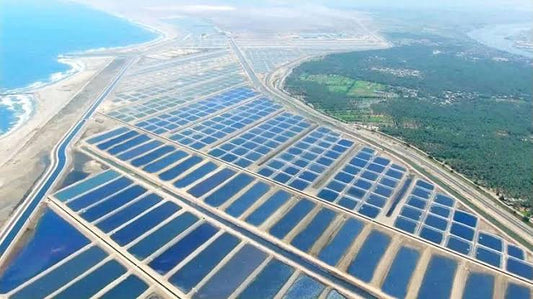 Feasibility study on fish farming